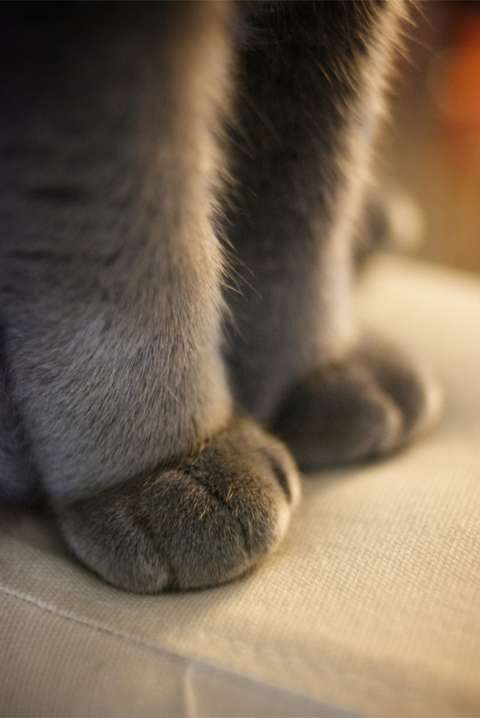 Когда меня попросили что-то сделать