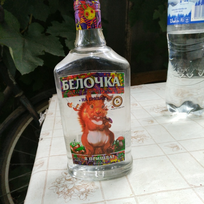 The squirrel did come. Not just like that, but on mushrooms - My, My, Vodka, Holidays, 