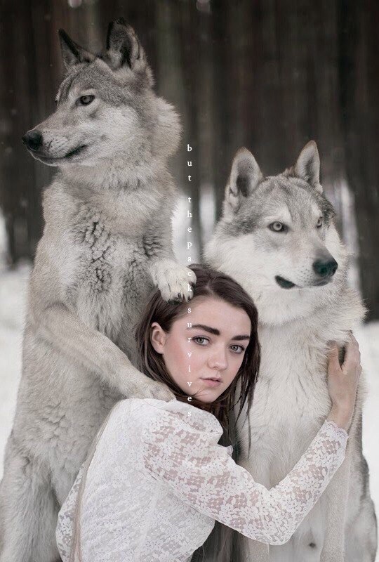 When I found my flock - Game of Thrones, Arya stark, Direwolf