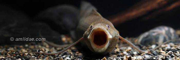 Из коллекции фотографа Бена Ли