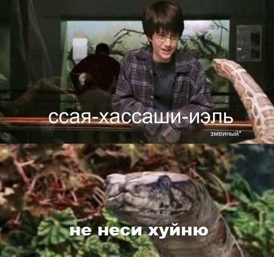 Harry Potter and the snake - My, Humor, Picture with text