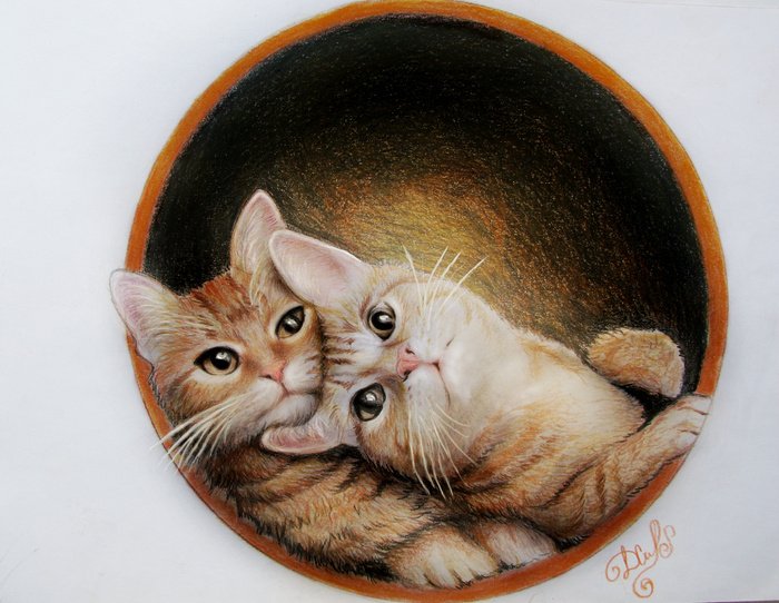 Cat tenderness to you) - My, Risky, , Milota, Art, Colour pencils, Drawing, cat, Tenderness