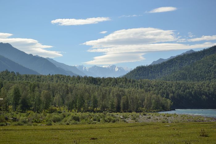 Journey through Altai. - My, Altai, Beluga Whale Mountain, Route, Tourism, Kucherlinskoye Lake, Longpost, Altai Republic