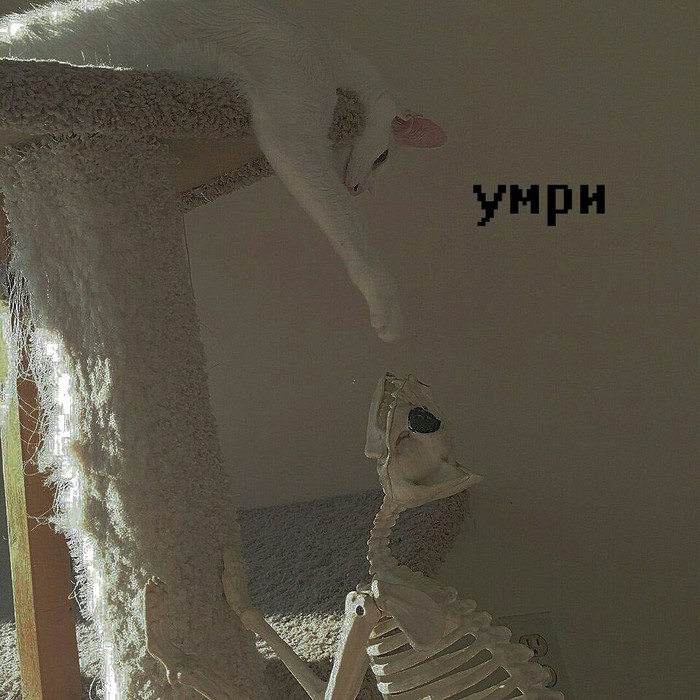 ������  � ���, ��������� � ����: � ���� ����������� ���� ���� (����� �� ��������) ��.... � �������� ��?