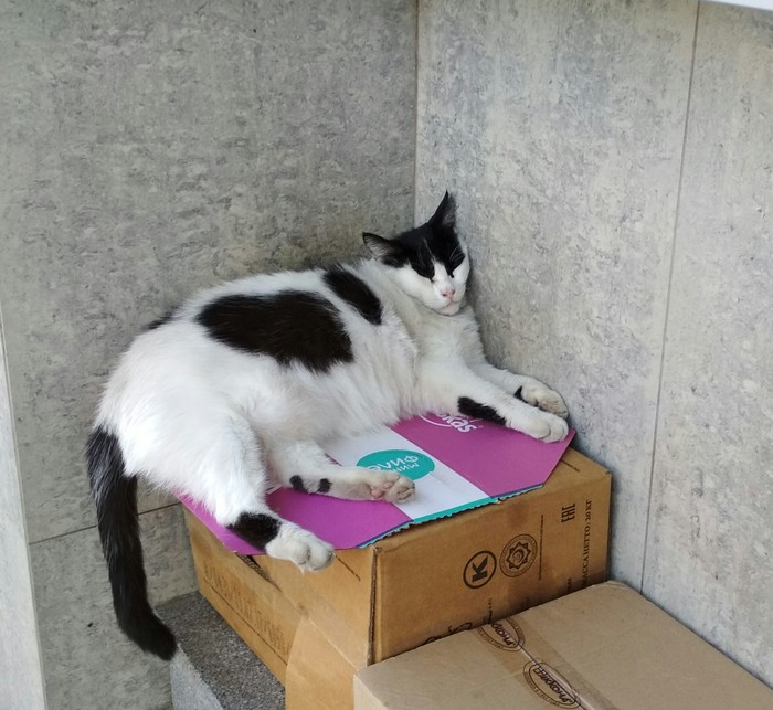 ����� ������� ������ � �� �������� � ������ �������