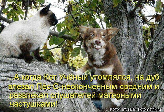 ��������� ���������