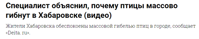 Секрет мёртвых птиц