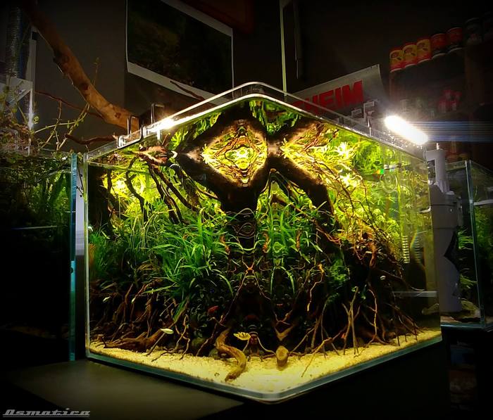 Вот такой необычный скейп запустили поляки из Осмотики