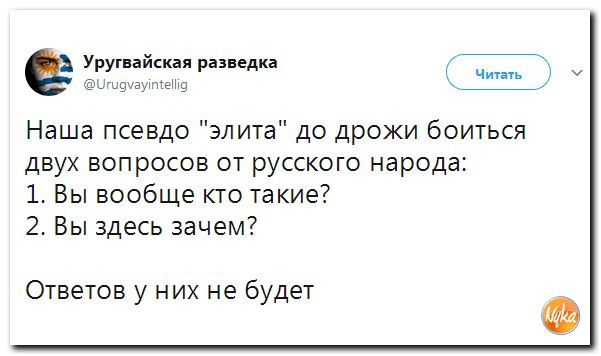 Вы кто такие?! - Политика, Twitter, Nyka