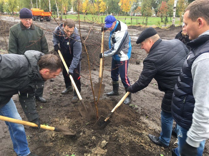 Чиновники сажают яблоню (вчетвером) - Новосибирск, Обьгэс, Юмор, Чиновники, Анекдот