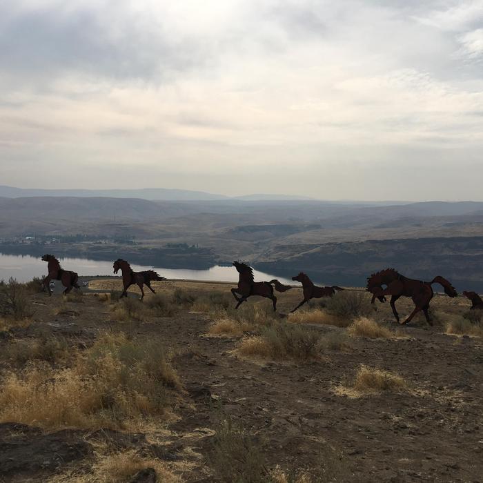 Columbia River Basin - River, Art, Colombia, Horses, Horses