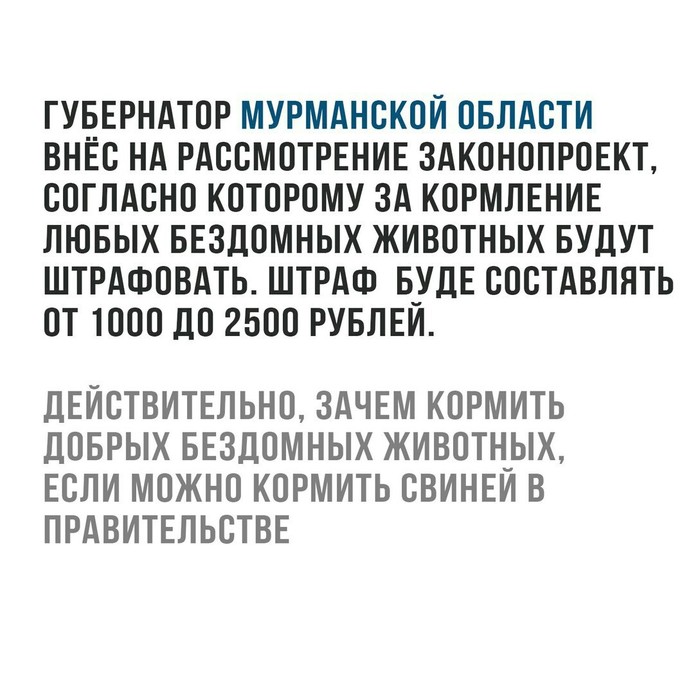 Бродячие животные Животные, бродячие псы, маразм