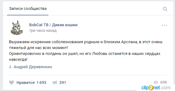 Арслан Валеев умер... - Арслан Валеев, Katyavaleeva, Смерть, Ядовитые животные