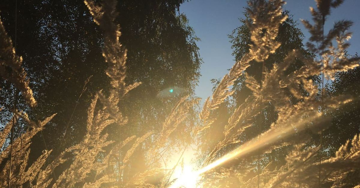 The last sun. Последнее солнце. Свежее солнце. Горячее, свежее солнце.