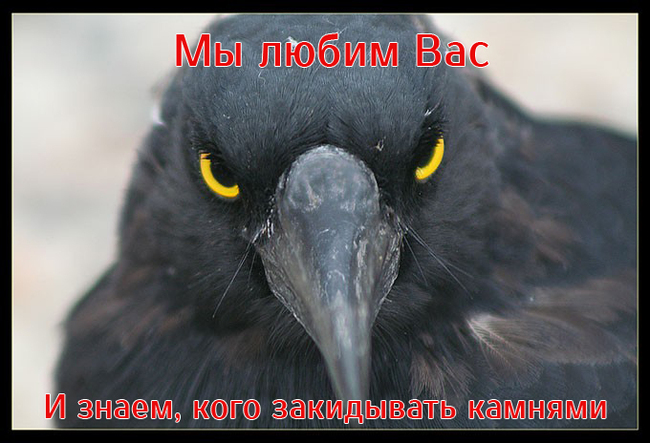 About Ravens - Crow, My, Yeltsin Center, Attack