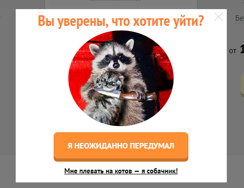 When you want to keep a user on the site longer - Raccoon, Cat trap, From the network, The gods of marketing