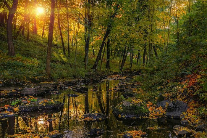 Осенний Ораниенбаум