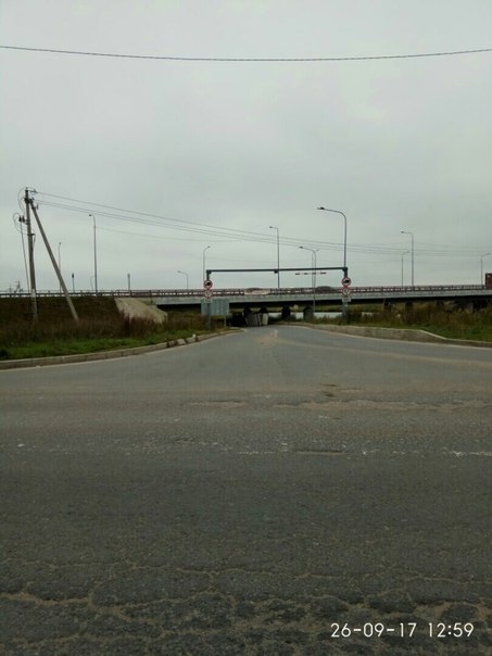 Gazelles continue to get stuck under the bridge with the inscription “Gazelle will not pass” in Shushary - Gazelle will not pass, Проверка, The bridge of stupidity