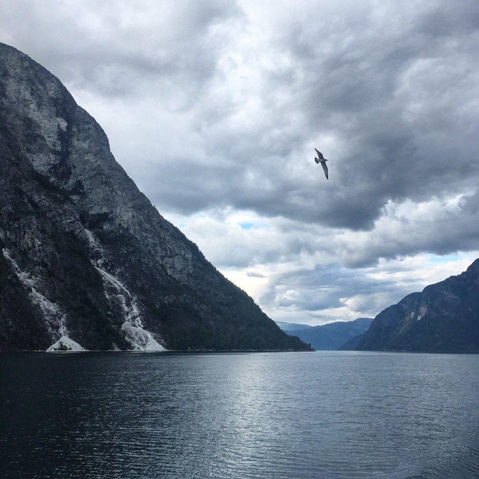 Norway, you are Love! - Tourism Day, Longpost, The photo, Images, Fjords, The mountains, Norway, My