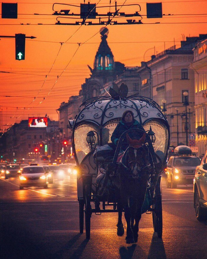 The main thing would be in time to get home! - Saint Petersburg, Coach, Nevsky Prospect, The photo, Cinderella, In contact with, Singer House, Evening