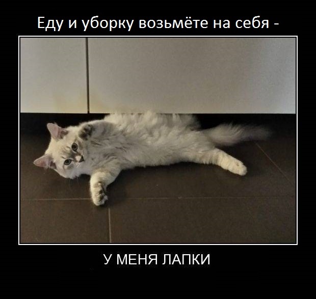 ��� ����� �������� ������� ������, 4 ������.