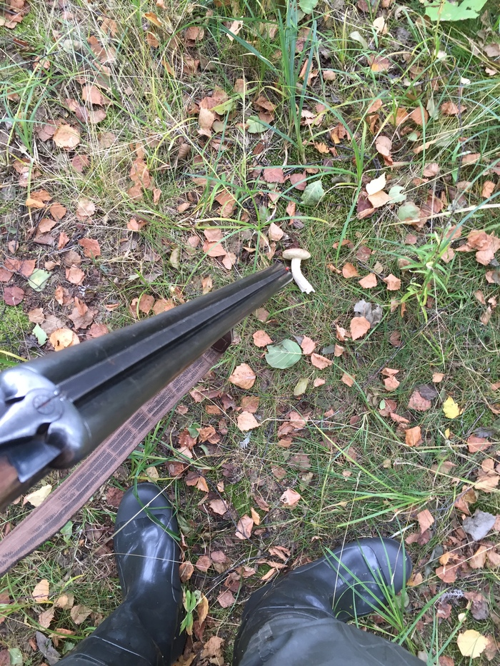 ����� �����.....