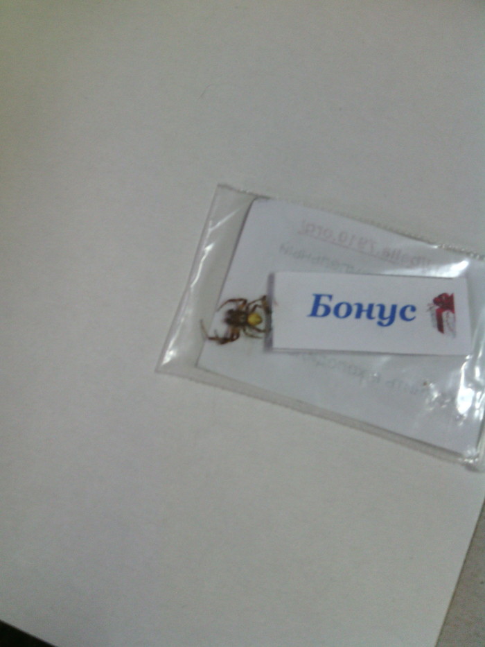 Nice bonus - Bonuses, Thank you, My, Spider