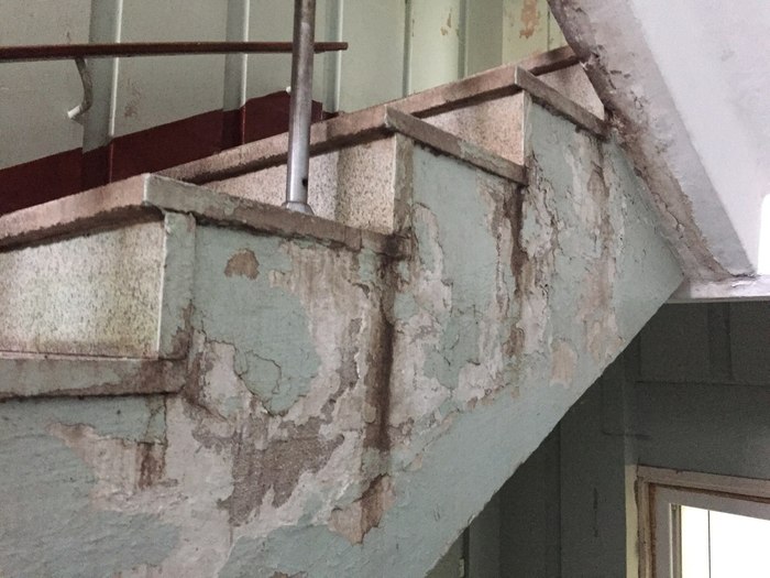 ��� ������������ �������. ������� ��������� ������� ����������� �. ������� ���� ������, ��������, ����, �����������, ��������, ����������, �������