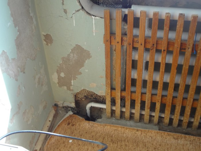 ��� ������������ �������. ������� ��������� ������� ����������� �. ������� ���� ������, ��������, ����, �����������, ��������, ����������, �������