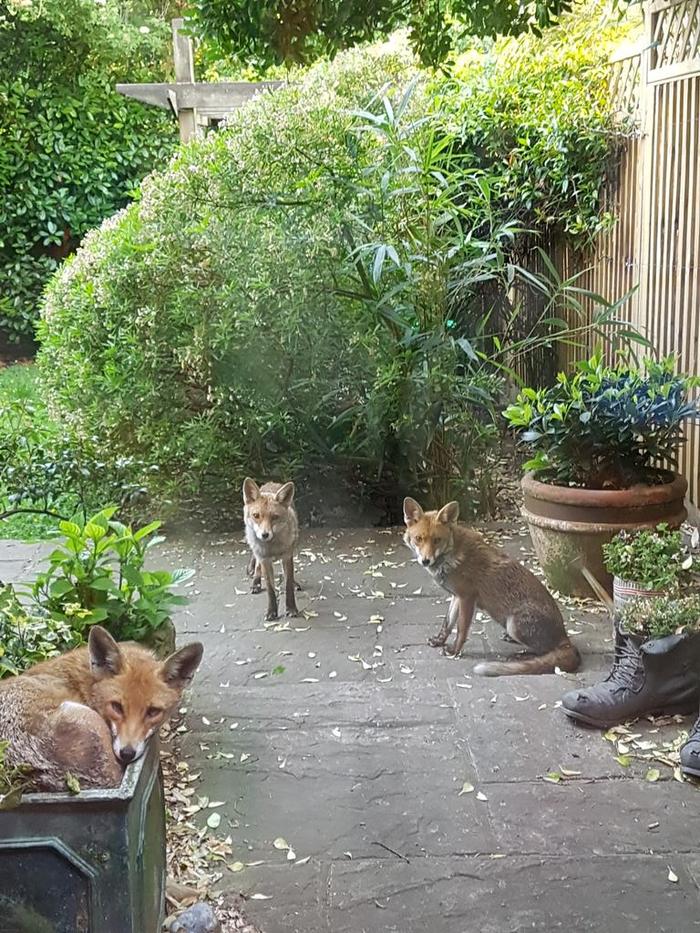 А в тот ли вы район зашли,фыр-фыр? ^.^