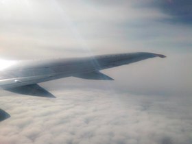 Проблемы «ВИМ-Авиа» вызвали вопросы к Росавиации и Минтрансу