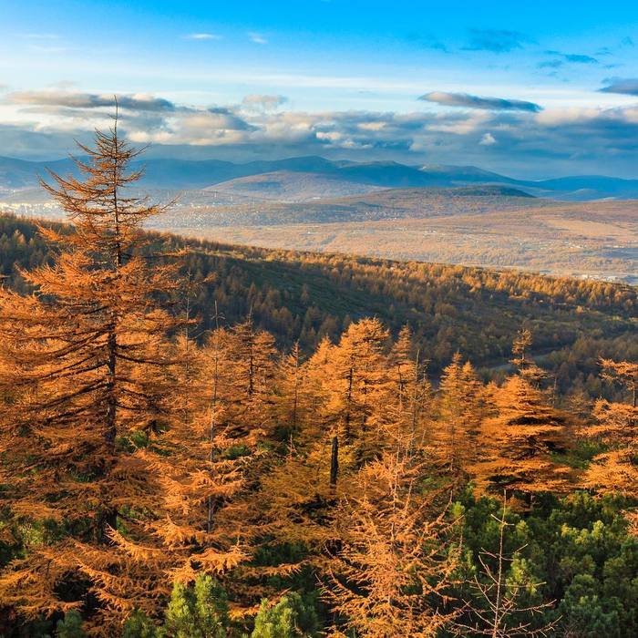 Golden Kolyma - Kolyma, Autumn, Russia, Gotta go, Landscape