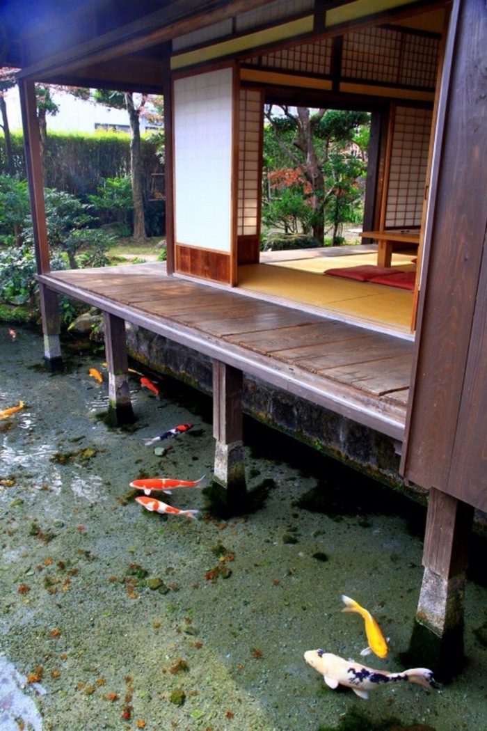 Somewhere in Japan. - Japan, A fish, Koi carps, Water, House, Pure water, The photo