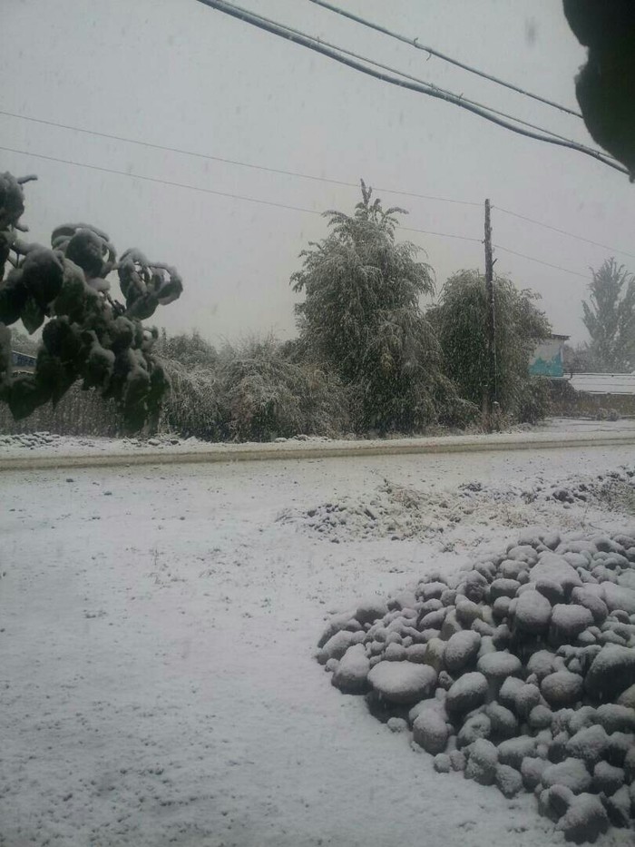 Выпал снег в Ысык-Кулской области Кыргызстан