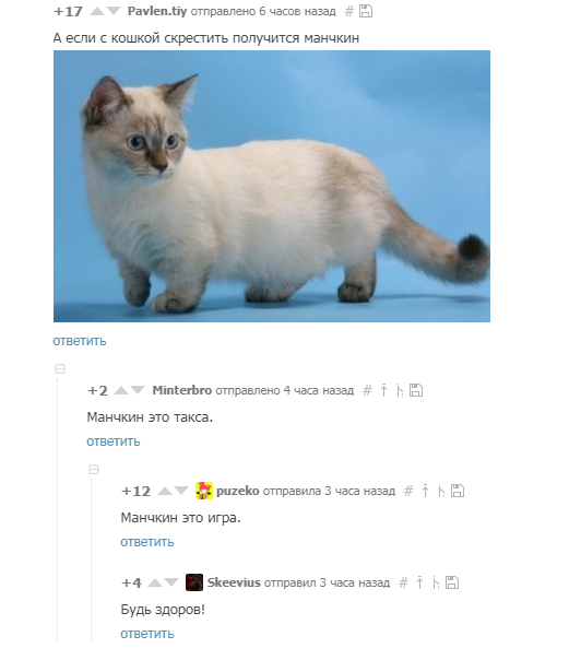 Корги vs. Всеподряд