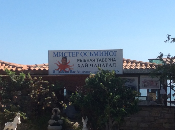 Mr. Octopus - My, Octopus, Marketing, Cyprus, Signboard