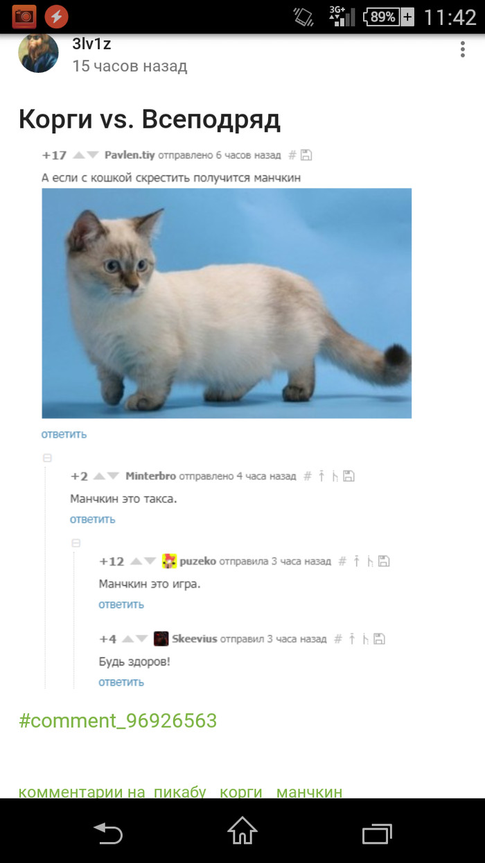 ��� � � ���� ������������