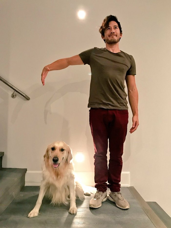 The guy asked his subscribers to photoshop his hand to the dog, as in the second picture - Images, The photo, Photoshop master, Photoshop, Scooby Doo, Longpost, Markiplier