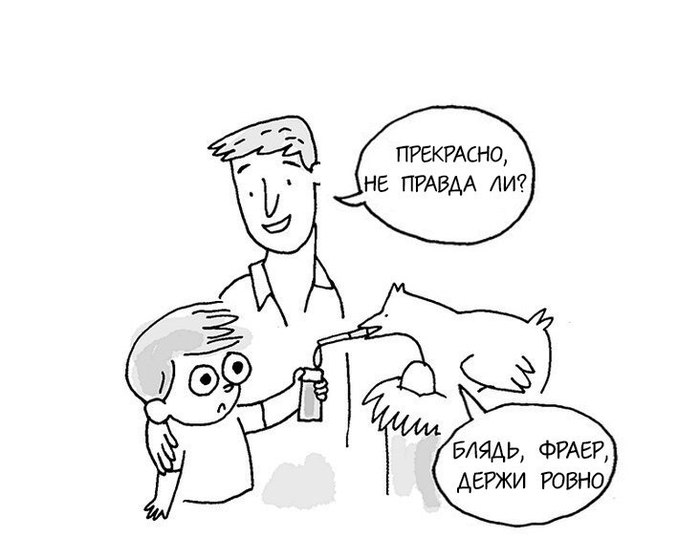 150705235526383859.jpg
