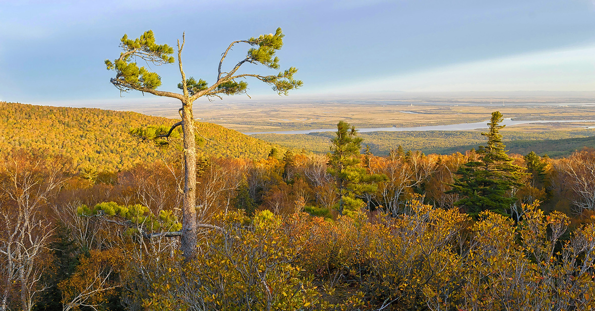 Хехцир хабаровск фото