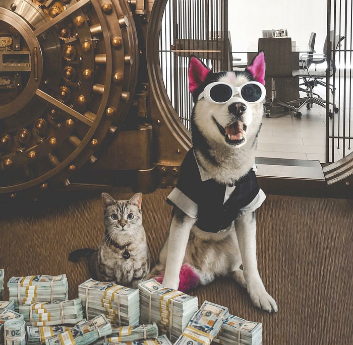 Стильные и богатые