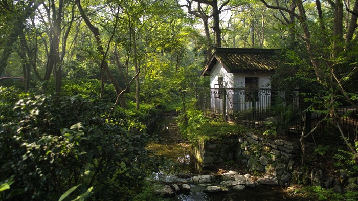 ����� � ����