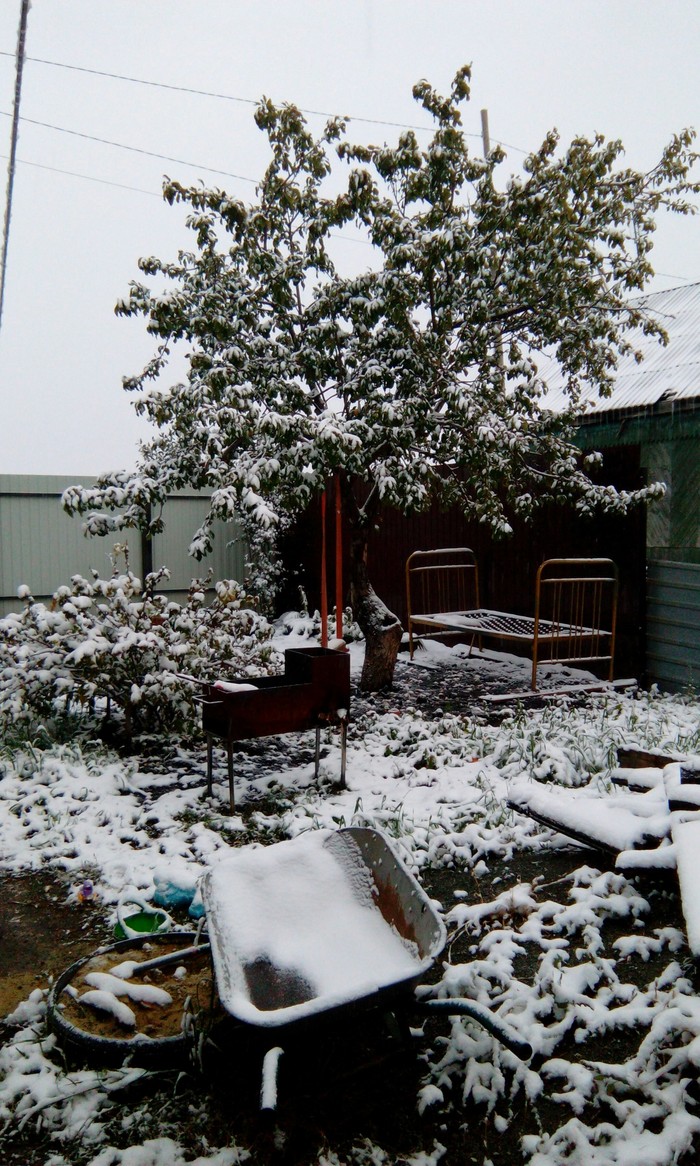 1 октября копейск