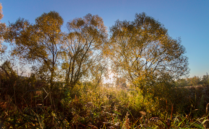 ��������� ����