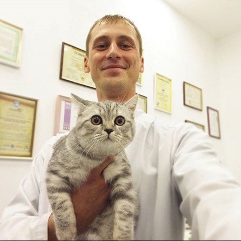 And again, the cats at the vet's appointment - cat, Vet, Longpost, The photo