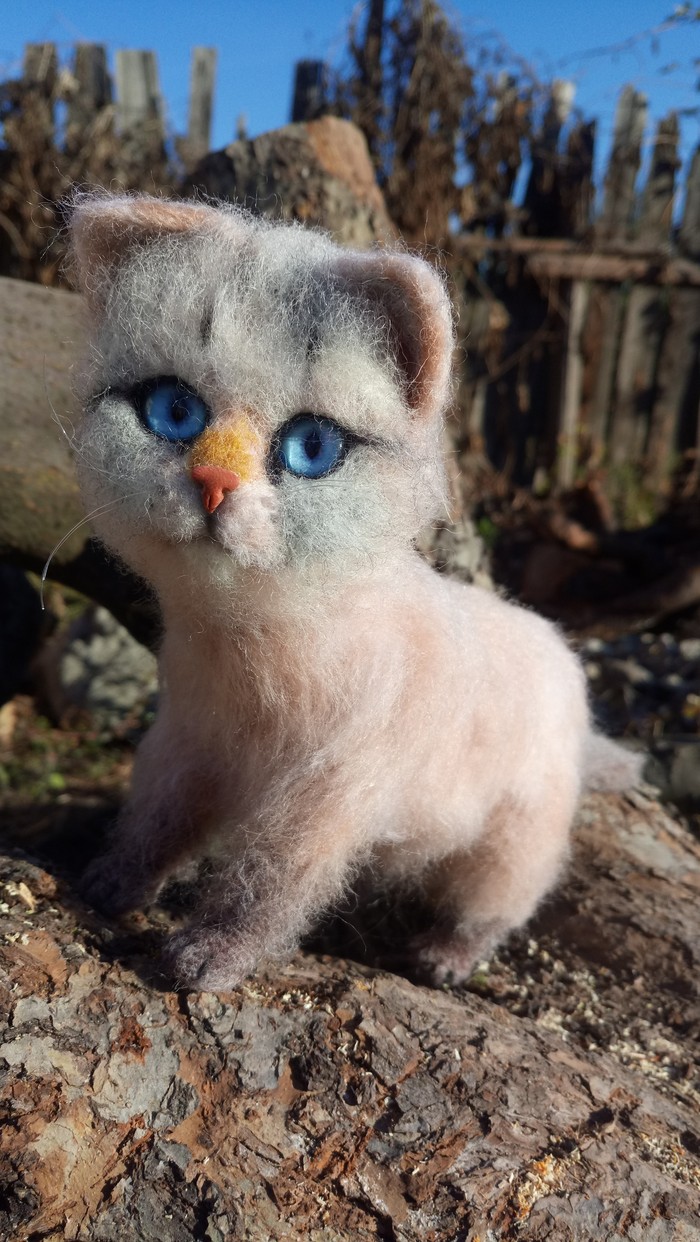 Kitty Asya, 19 cm, Neva breed, dry felting - My, Dry felting, Needlework without process, Catomafia, Handmade, Longpost, cat