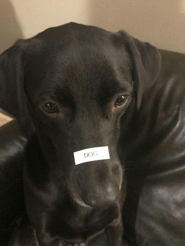 Как молодые программисты комментируют код