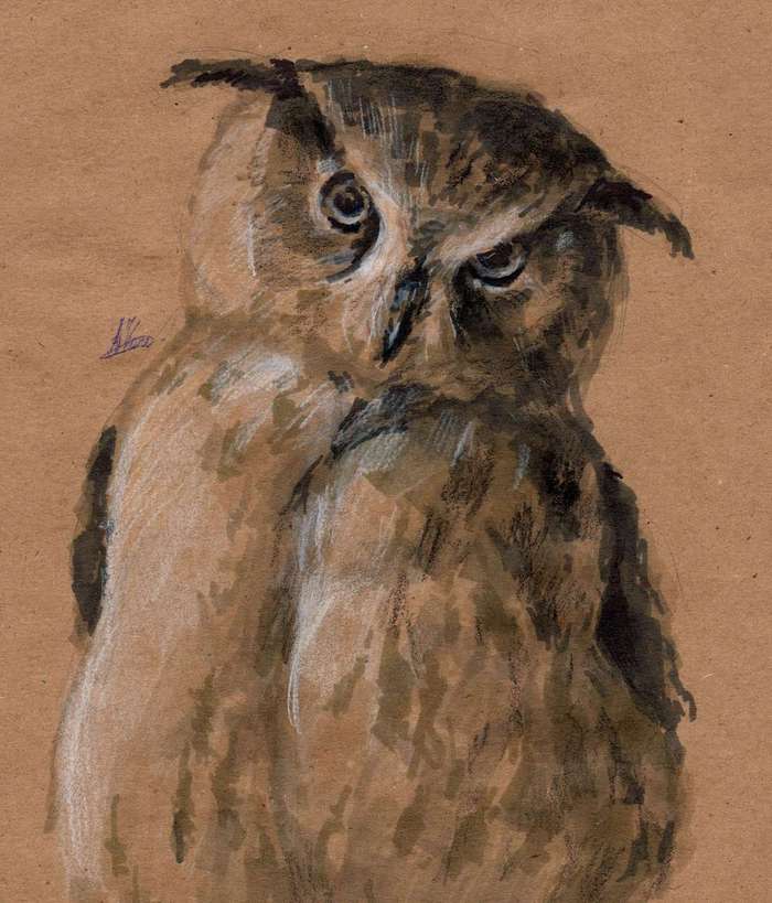 A small sketch, eagle owl Yoll. - My, Marker, Drawing, Sketch, Pencil, Owl, Owl, Junior Academy of Artists