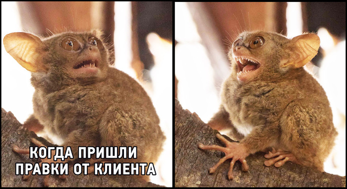 Pikabushniki, correct me, but in my opinion this is a new meme) - Memes, Design, Clients, Edits, Picture with text, 