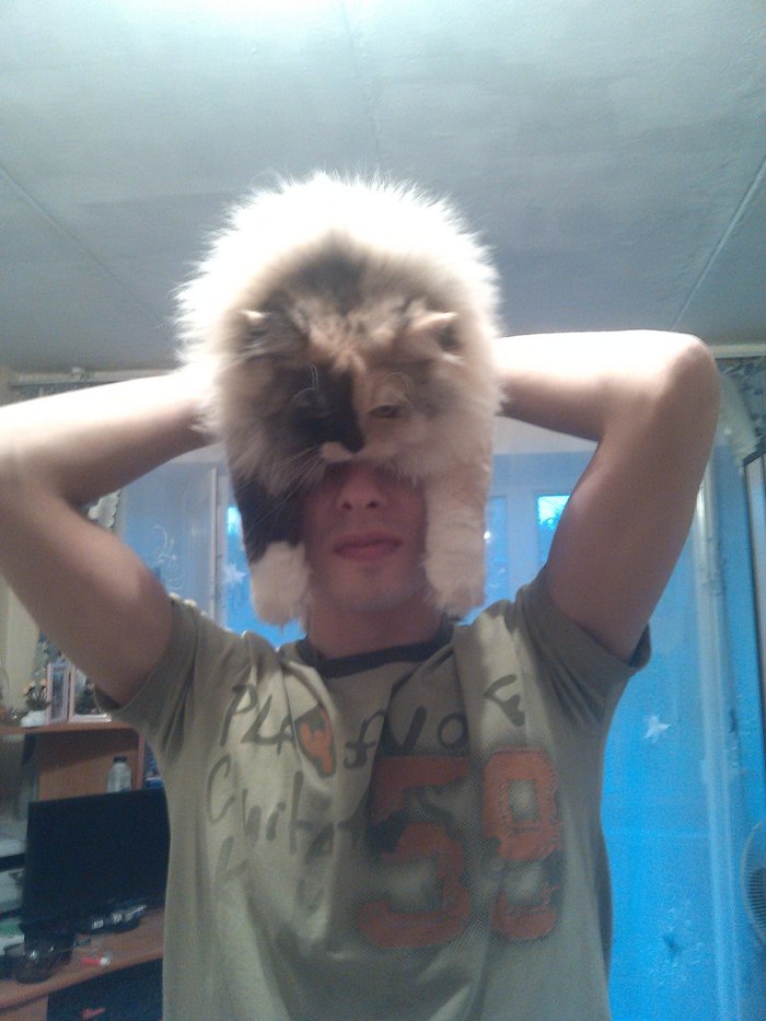 By the winter of gkots... - Cap, Hat with ear flaps, Fur, Winter, Homemade, The photo, cat
